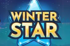 Winter star